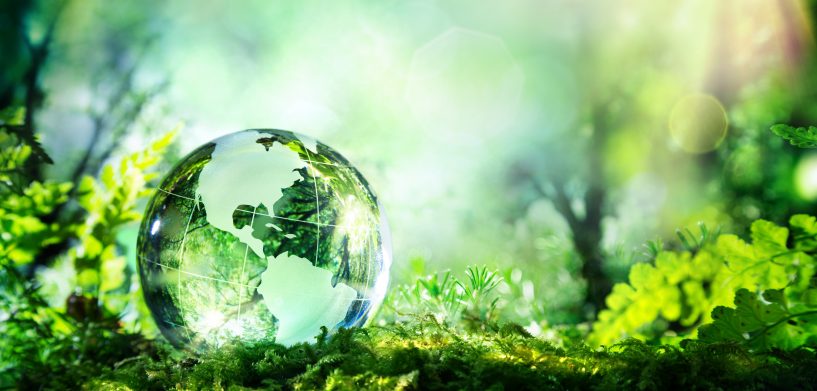 green glass globe in a forest
