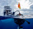 Ocean conservation expedition on a boat in the sea