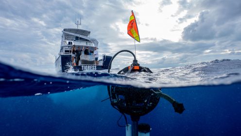How Beneath The Waves partnered with Hexagon to promote ocean conservation with LiDAR scanning