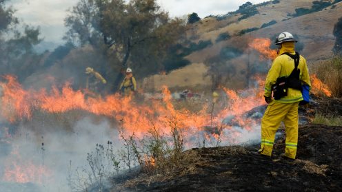 Evolving response for annual wildfires